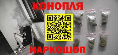 прущие крисы Бийск