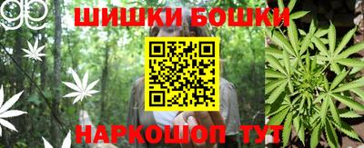 прущие крисы Бийск