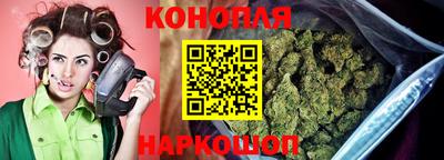 прущие крисы Бийск