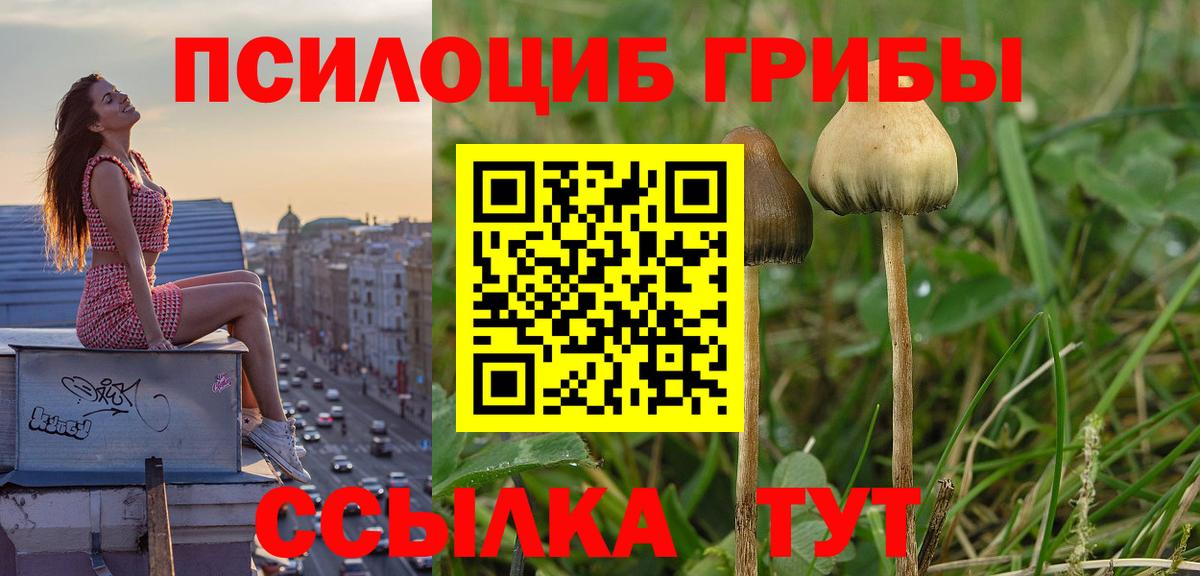 Псилоцибиновые грибы Magic Shrooms Кировск